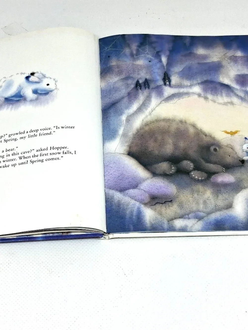 Hopper Hunts for Spring by Marcus Pfister, 90s Y2K Children's Book